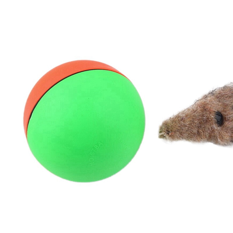 1-Pc Electric Pet Toy for Cats, Dogs