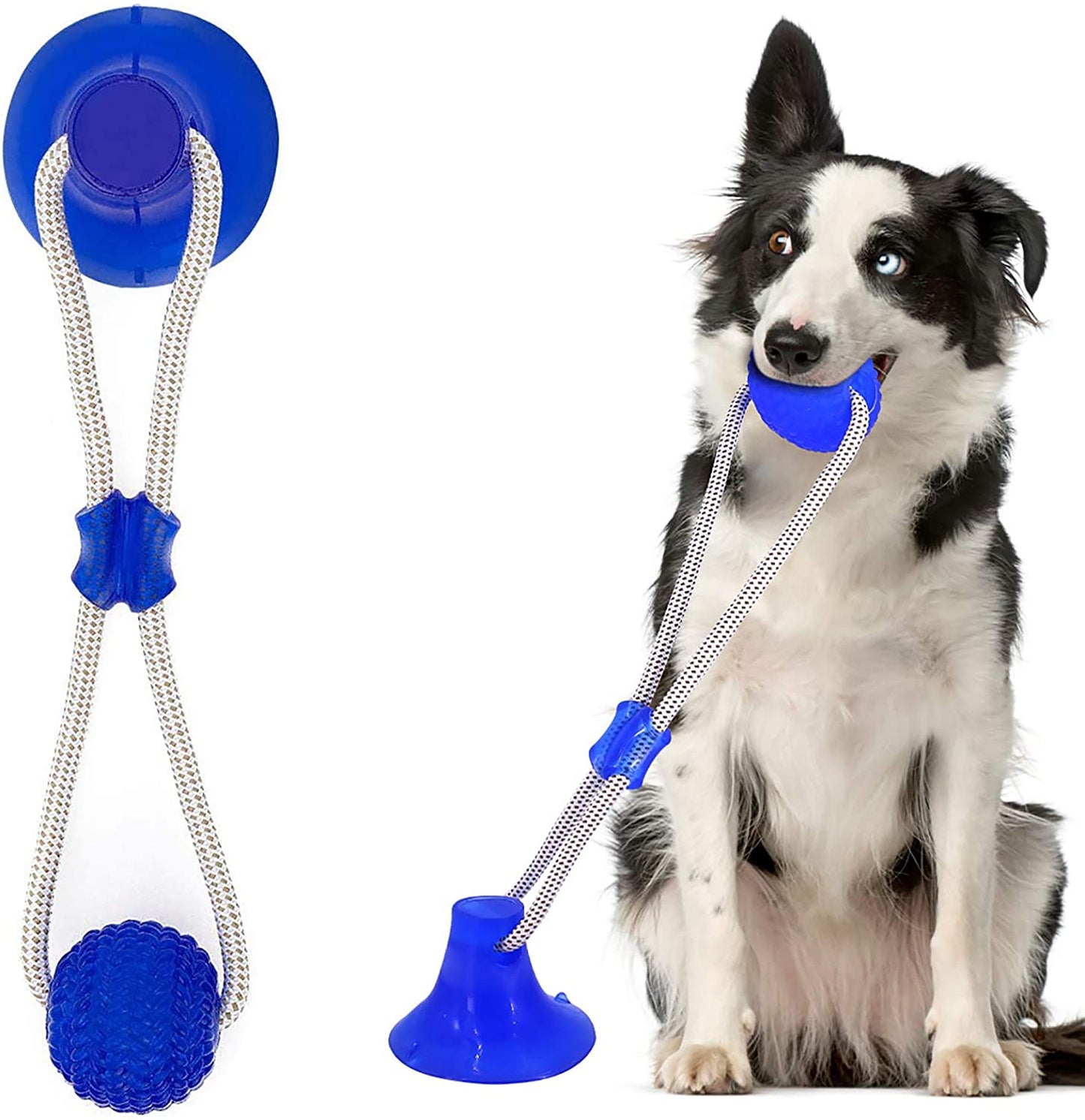 Interactive Suction Cup Dog Chew Toy