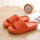 Women's Thick Non-Slip Slides